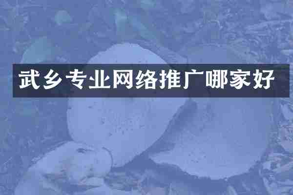 武乡专业网络推广哪家好