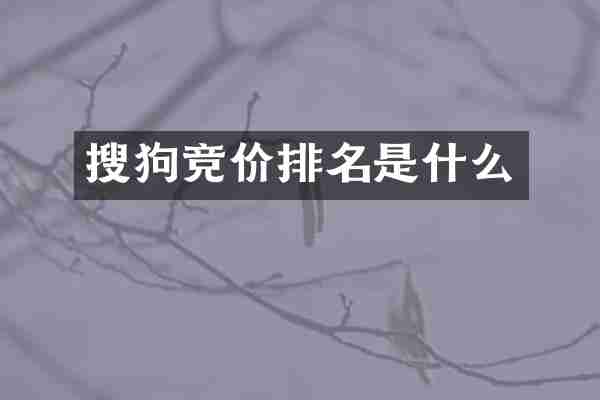 搜狗竞价排名是什么