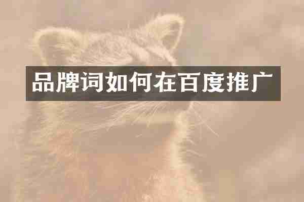 品牌词如何在百度推广