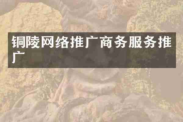 铜陵网络推广商务服务推广