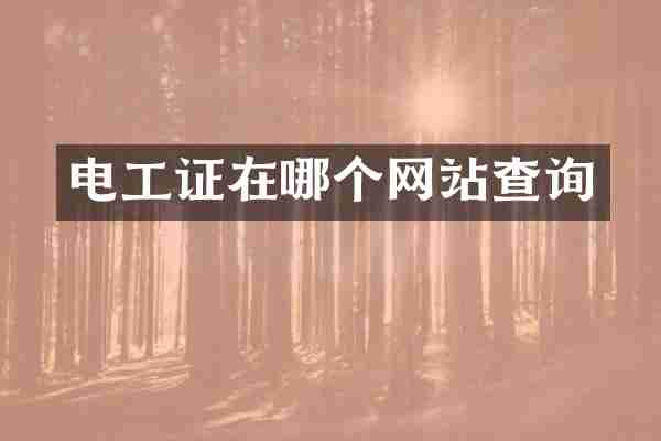 电工证在哪个网站查询