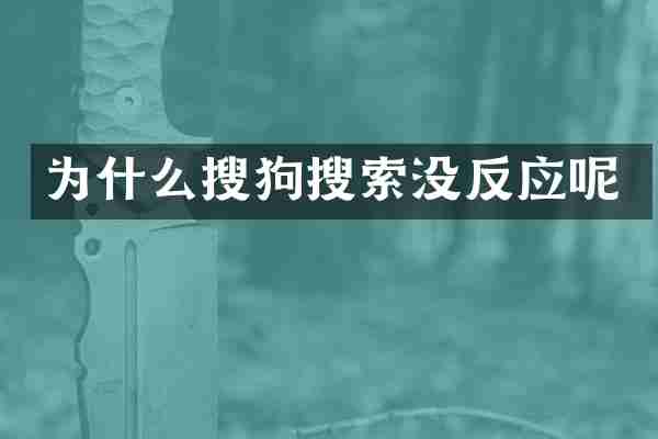 为什么搜狗搜索没反应呢