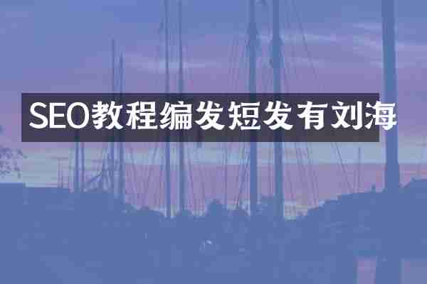 SEO教程编发短发有刘海