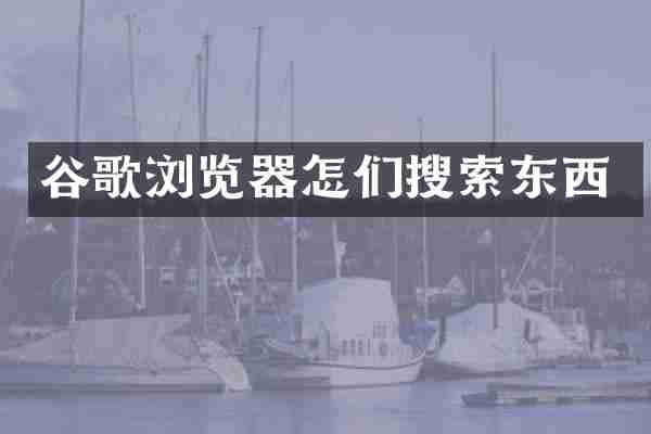 谷歌浏览器怎们搜索东西