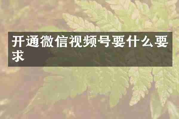 开通微信视频号要什么要求