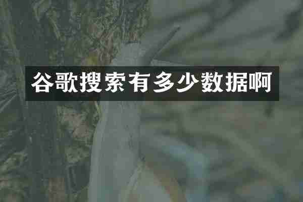 谷歌搜索有多少数据啊
