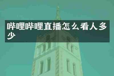 哔哩哔哩直播怎么看人多少