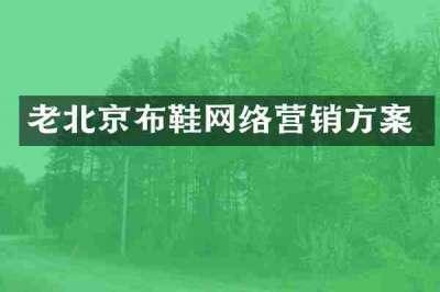 老北京布鞋网络营销方案