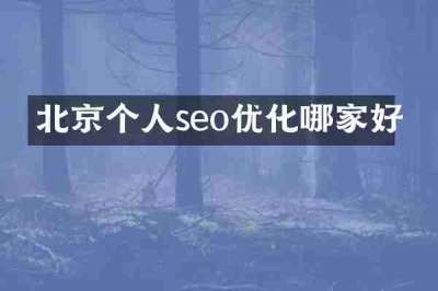 北京个人seo优化哪家好