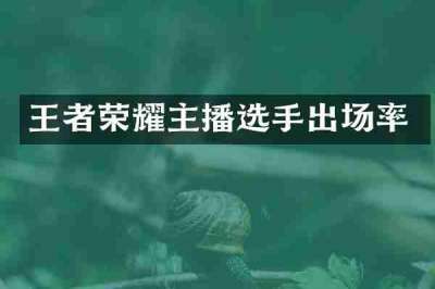 王者荣耀主播选手出场率