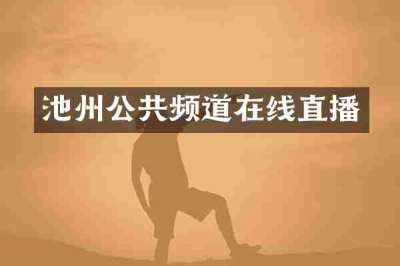 池州公共频道在线直播