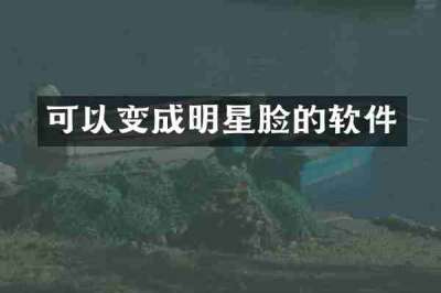 可以变成明星脸的软件