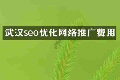 武汉seo优化网络推广费用