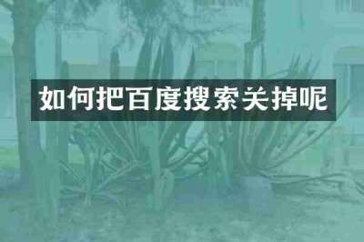 如何把百度搜索关掉呢