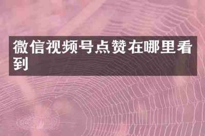 微信视频号点赞在哪里看到