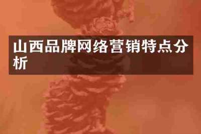 山西品牌网络营销特点分析