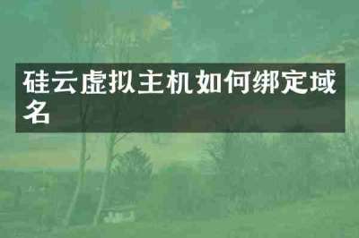 硅云虚拟主机如何绑定域名