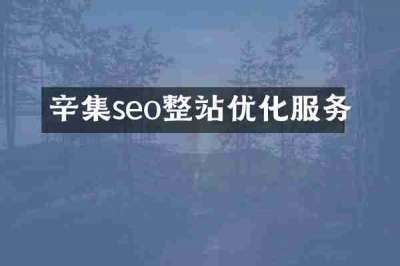 辛集seo整站优化服务