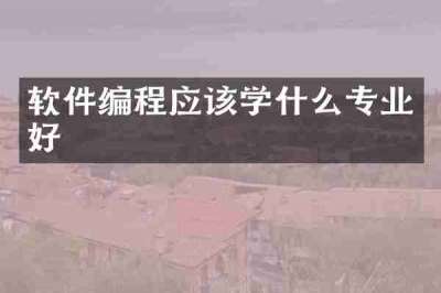 软件编程应该学什么专业好