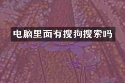 电脑里面有搜狗搜索吗