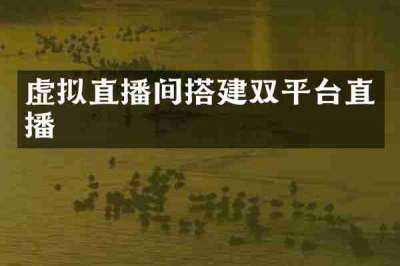 虚拟直播间搭建双平台直播
