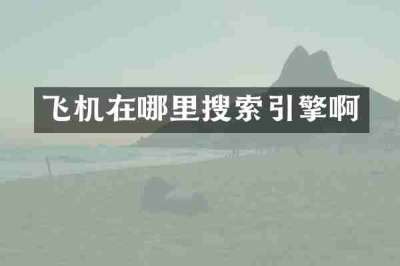 飞机在哪里搜索引擎啊