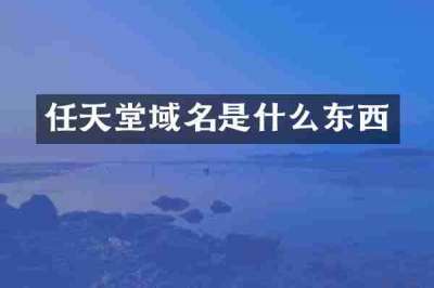 任天堂域名是什么东西