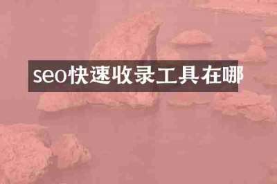 seo快速收录工具在哪
