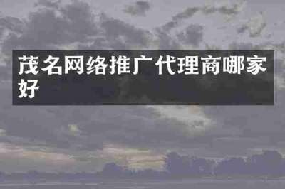 茂名网络推广代理商哪家好