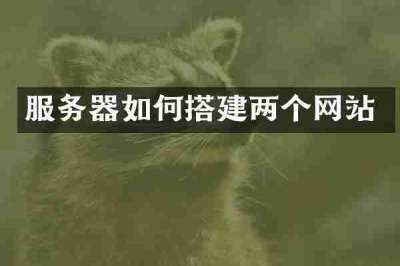 服务器如何搭建两个网站