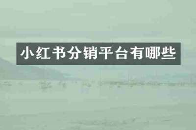 小红书分销平台有哪些