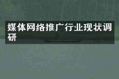 媒体网络推广行业现状调研