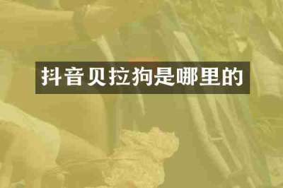 抖音贝拉狗是哪里的