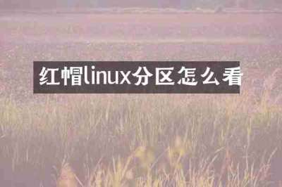 红帽linux分区怎么看