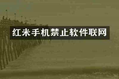 红米手机禁止软件联网