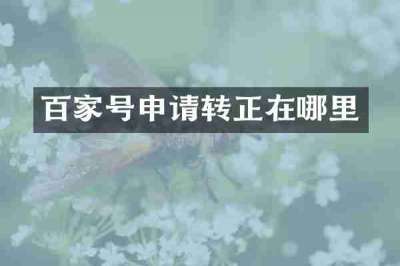 百家号申请转正在哪里