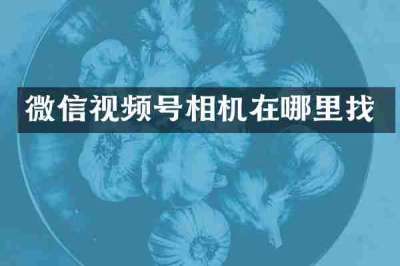 微信视频号相机在哪里找