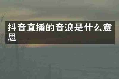 抖音直播的音浪是什么意思
