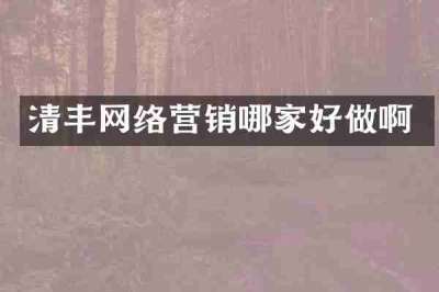清丰网络营销哪家好做啊