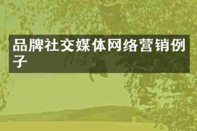 品牌社交媒体网络营销例子