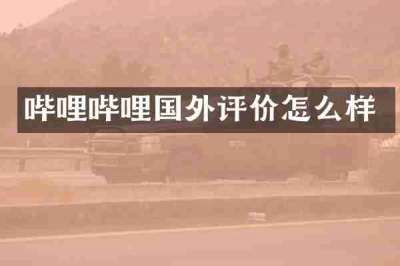 哔哩哔哩国外评价怎么样