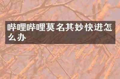 哔哩哔哩莫名其妙快进怎么办