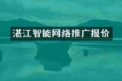 湛江智能网络推广报价