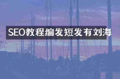 SEO教程编发短发有刘海