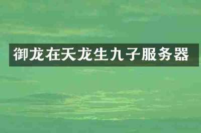 御龙在天龙生九子服务器