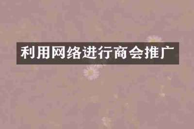 利用网络进行商会推广