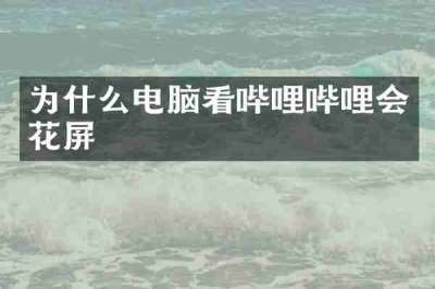 为什么电脑看哔哩哔哩会花屏