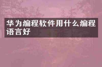 华为编程软件用什么编程语言好