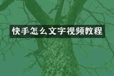 快手怎么文字视频教程