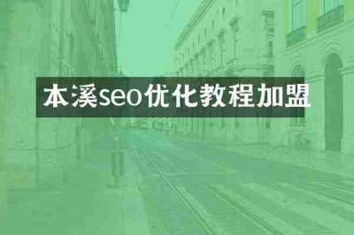 本溪seo优化教程加盟